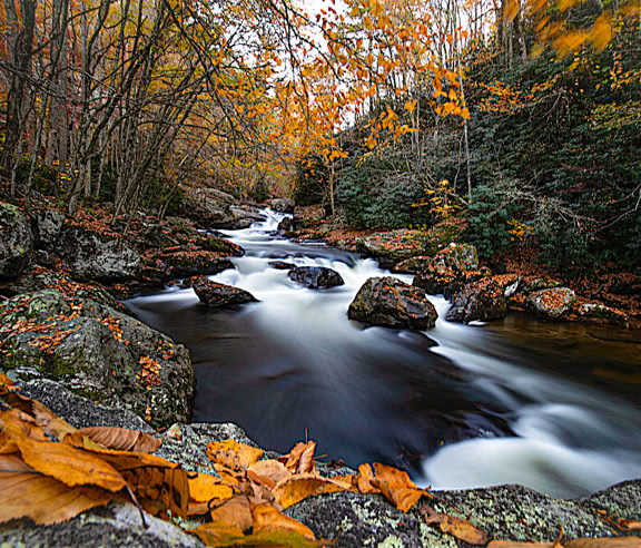 Upper north branch Embarass River