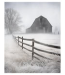 Old barn with hoare frost in the trees.
