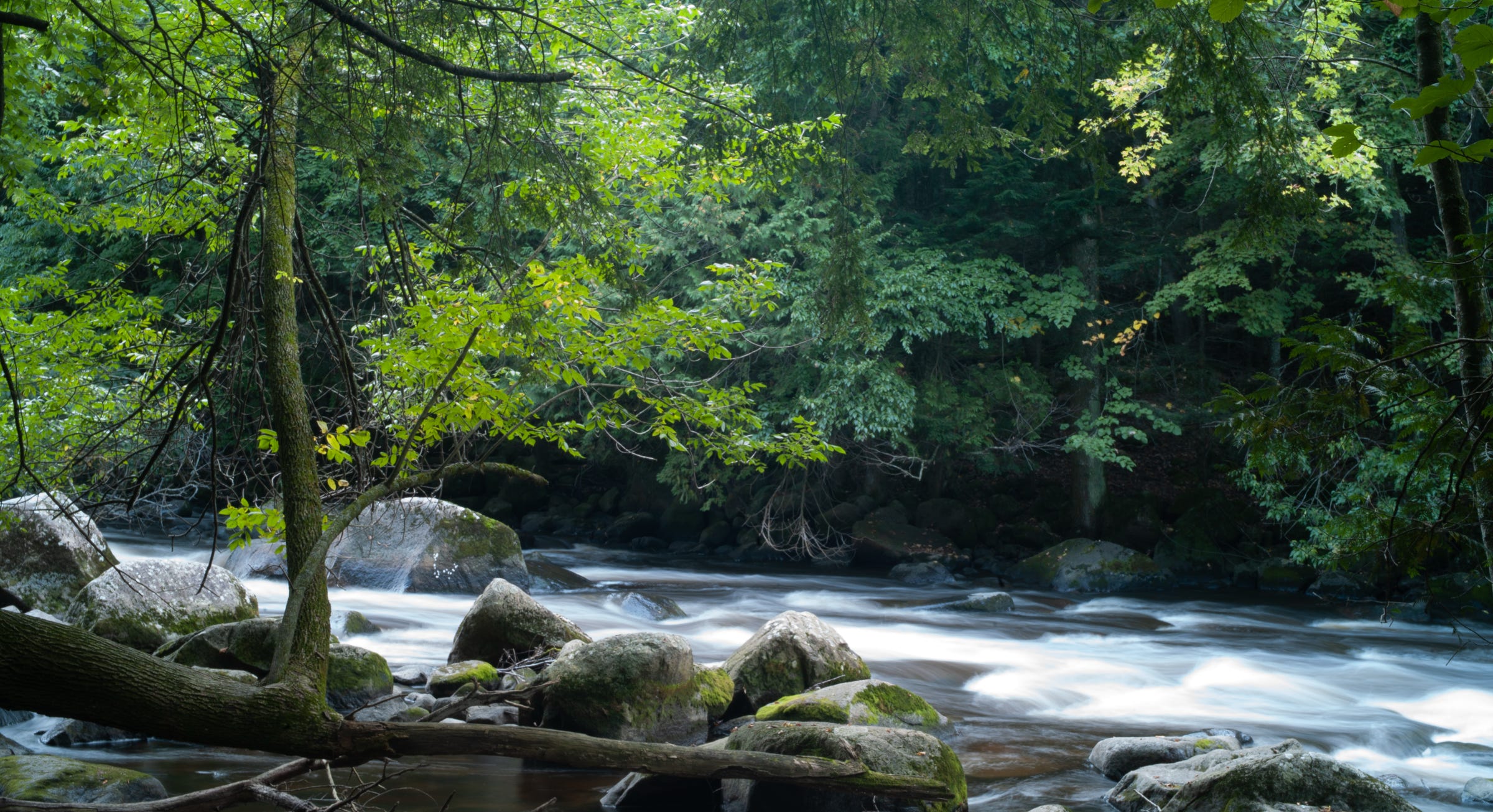 Riverscape
