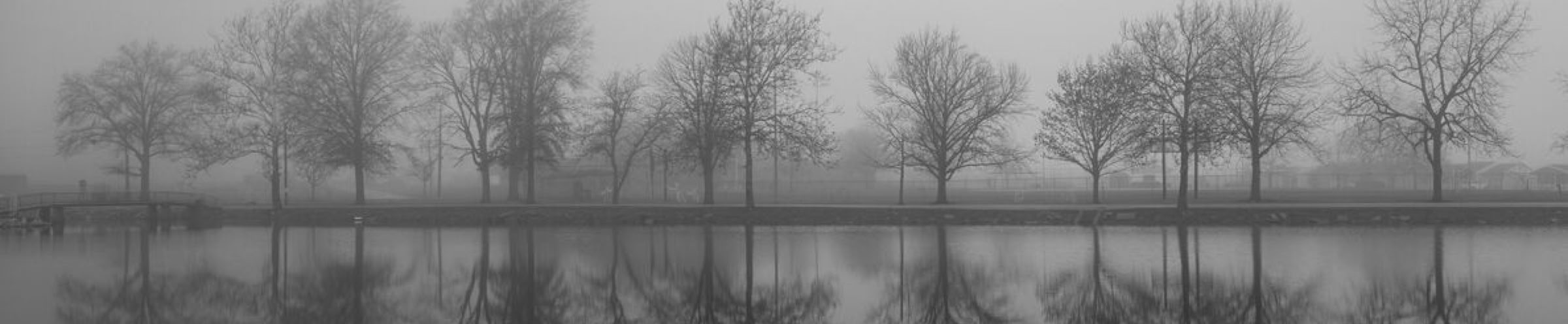 Trees in a row across a canal