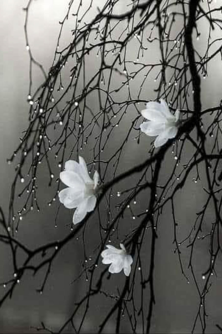 Steaming coffee cup, still life photographhy. Bruce Starszak Photography