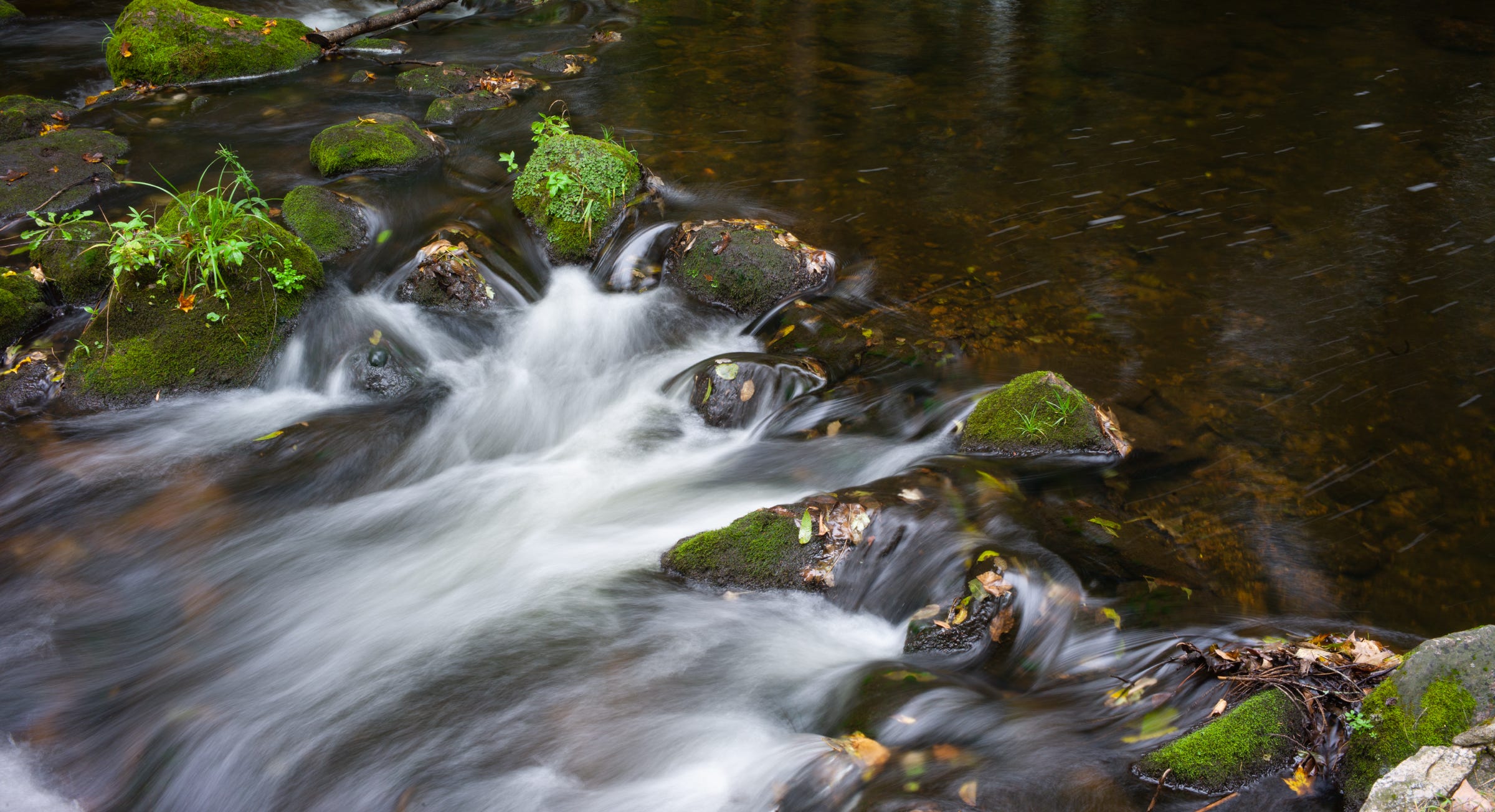 Riverscape scene 