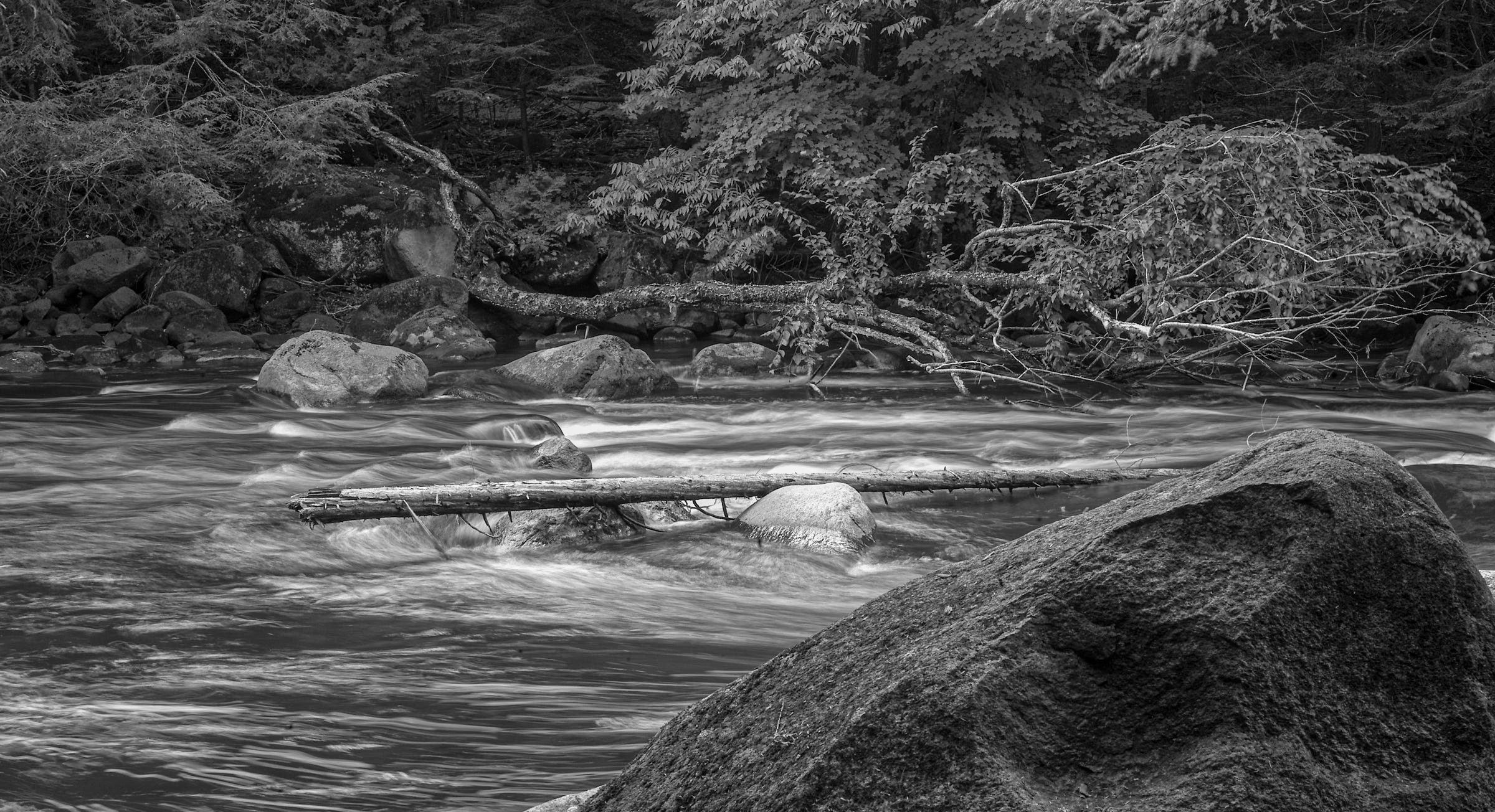 B&W Riverscape 